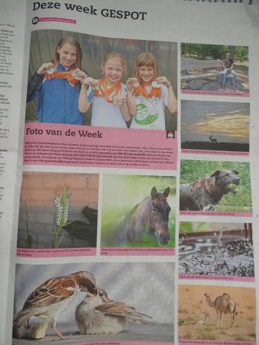 Leijpark013 foto's van mij in de krant 