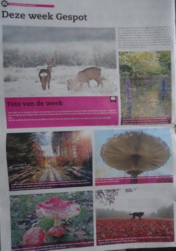 Leijpark013 foto's van mij in de krant 