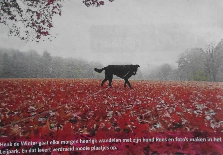 Leijpark013 foto's van mij in de krant 