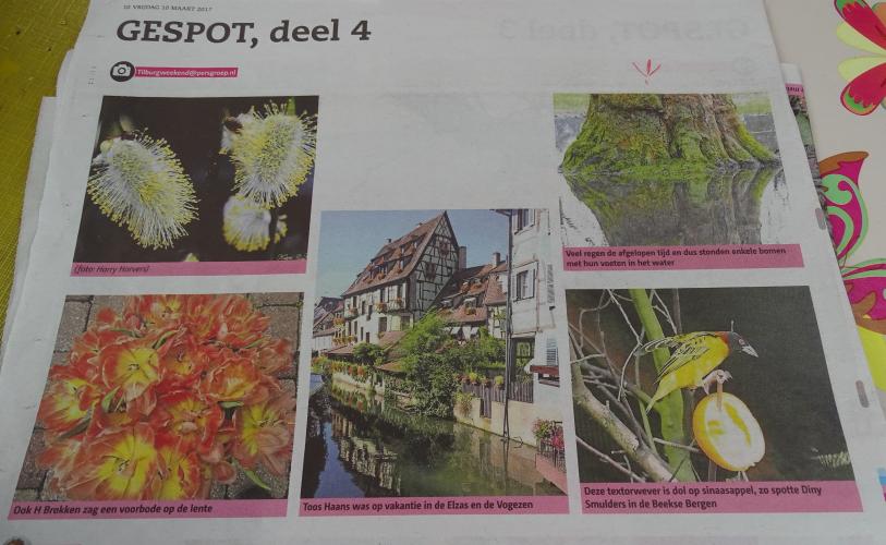 Leijpark013 foto's van mij in de krant 