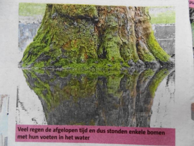 Leijpark013 foto's van mij in de krant 