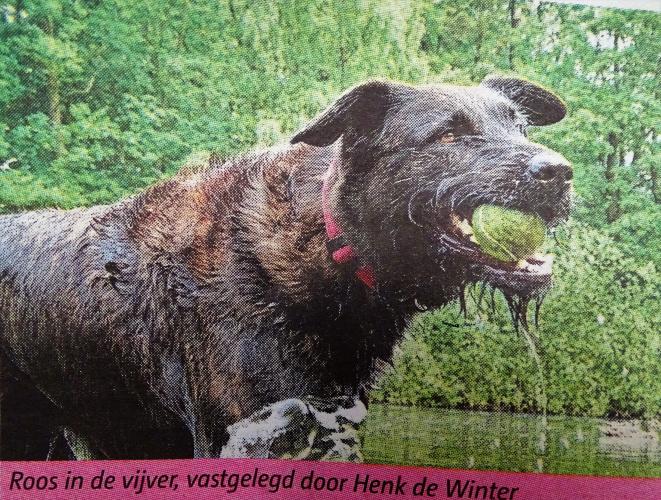 Leijpark013 foto's van mij in de krant 