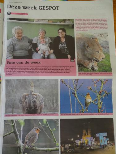 Leijpark013 foto's van mij in de krant 