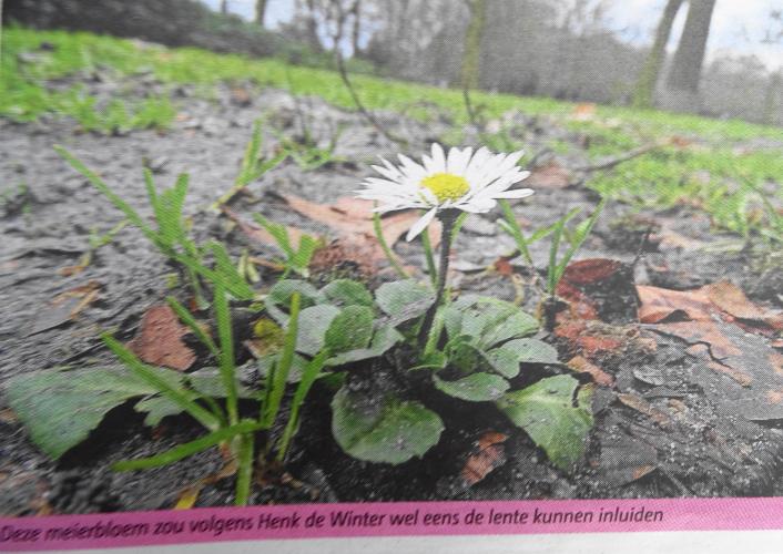 Leijpark013 foto's van mij in de krant 