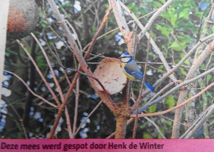 Leijpark013 foto's van mij in de krant 