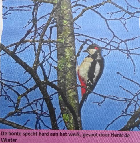 Leijpark013 foto's van mij in de krant 