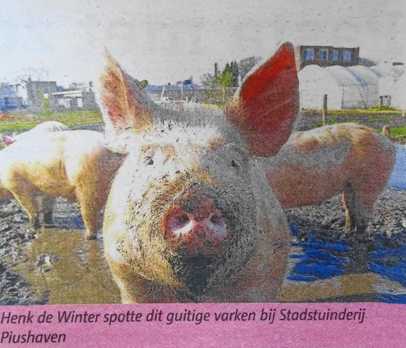 Leijpark013 foto's van mij in de krant 