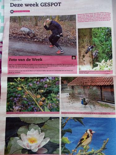 Leijpark013 foto's van mij in de krant 