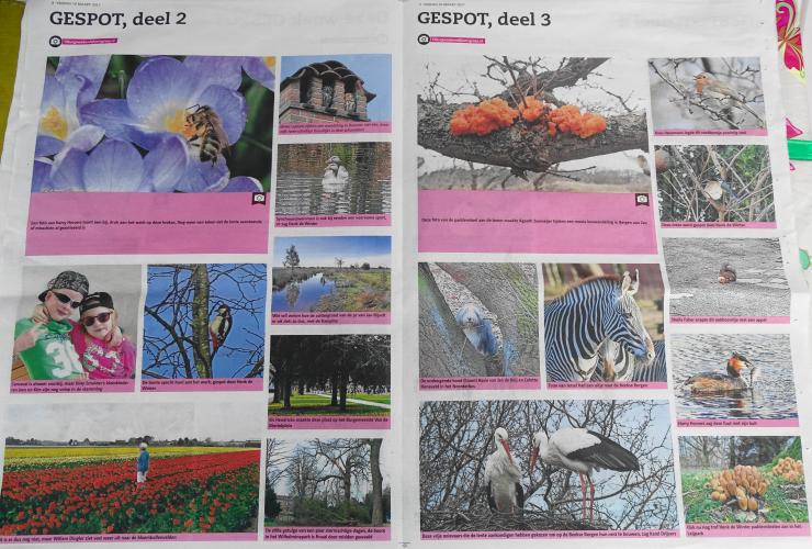 Leijpark013 foto's van mij in de krant 