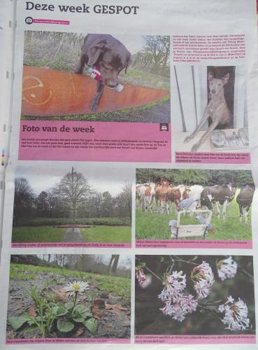 Leijpark013 foto's van mij in de krant 
