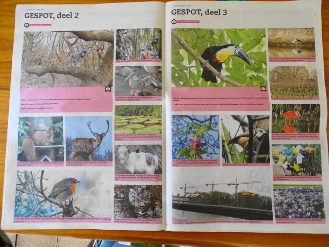 Leijpark013 foto's van mij in de krant 