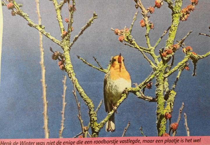 Leijpark013 foto's van mij in de krant 