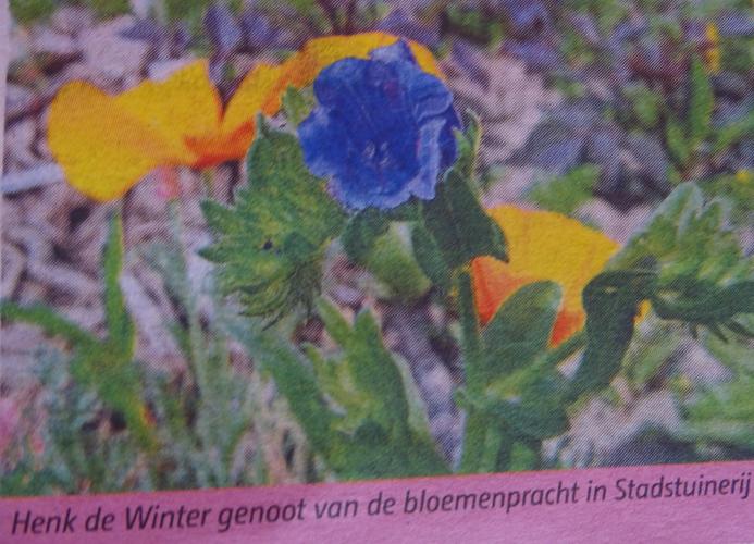 Leijpark013 foto's van mij in de krant 