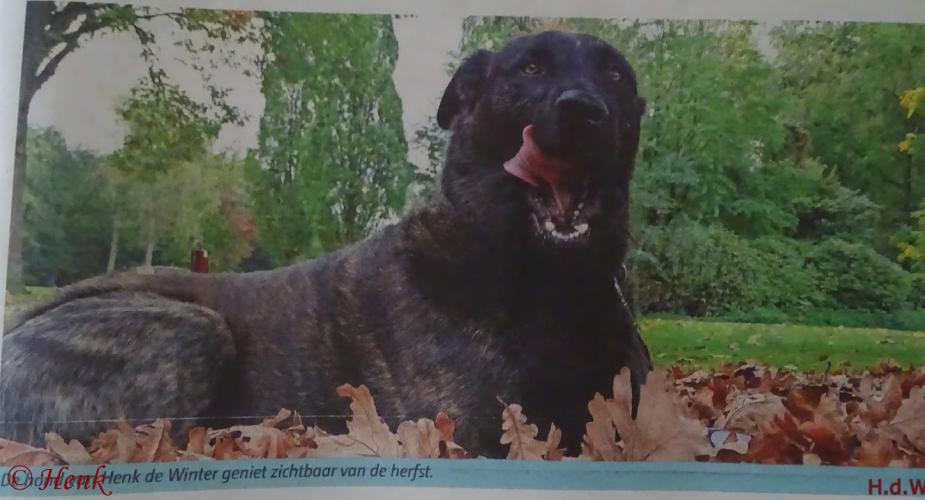 Leijpark013 foto's van mij in de krant 