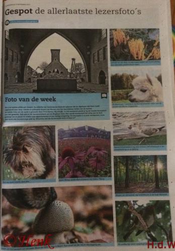 Leijpark013 foto's van mij in de krant 