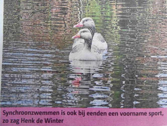 Leijpark013 foto's van mij in de krant 