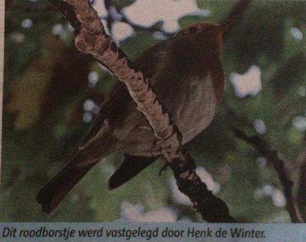 Leijpark013 foto's van mij in de krant 