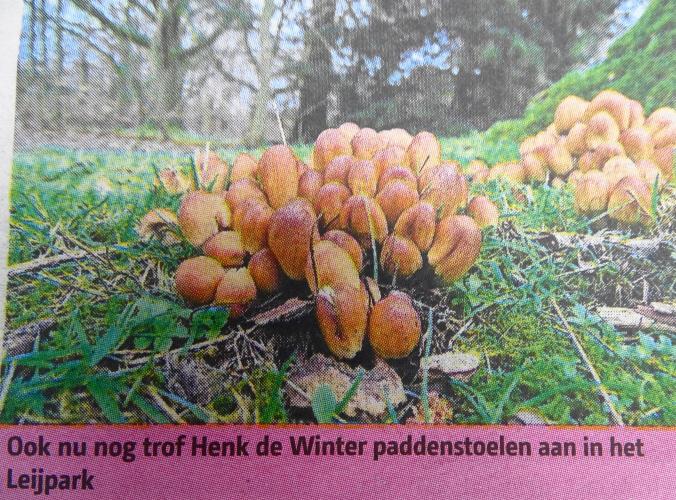 Leijpark013 foto's van mij in de krant 