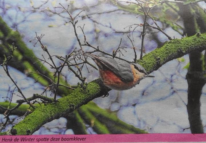 Leijpark013 foto's van mij in de krant 