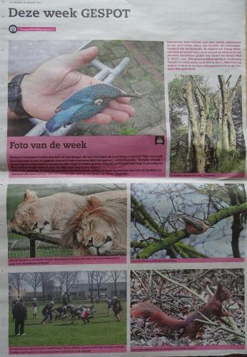 Leijpark013 foto's van mij in de krant 