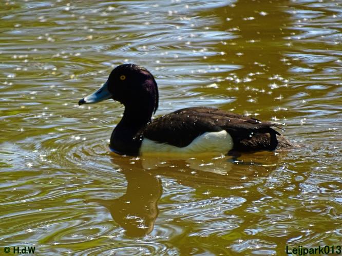 Leijpark013 19 &amp; 20 &amp; 21 &amp; 22 april 2022