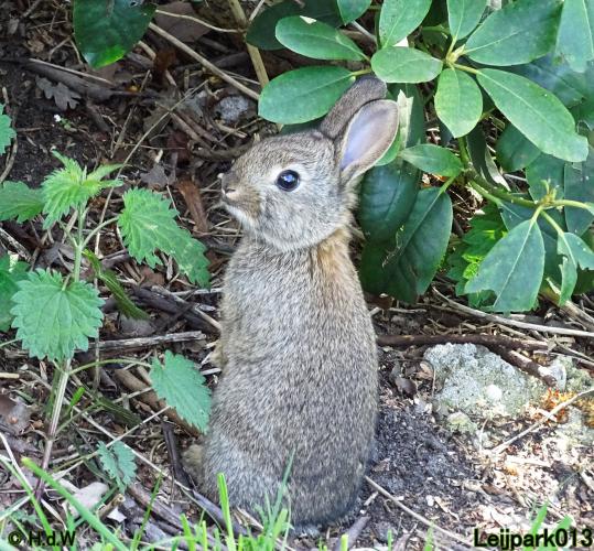 Leijpark013 19 &amp; 20 &amp; 21 &amp; 22 april 2022