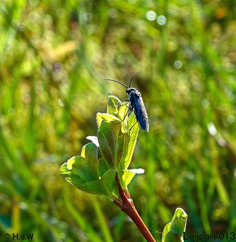 Leijpark013 19 &amp; 20 &amp; 21 &amp; 22 april 2022