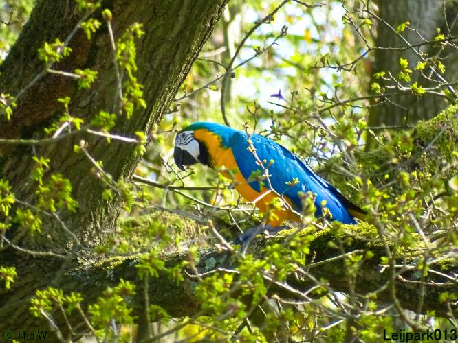 Leijpark013 19 &amp; 20 &amp; 21 &amp; 22 april 2022