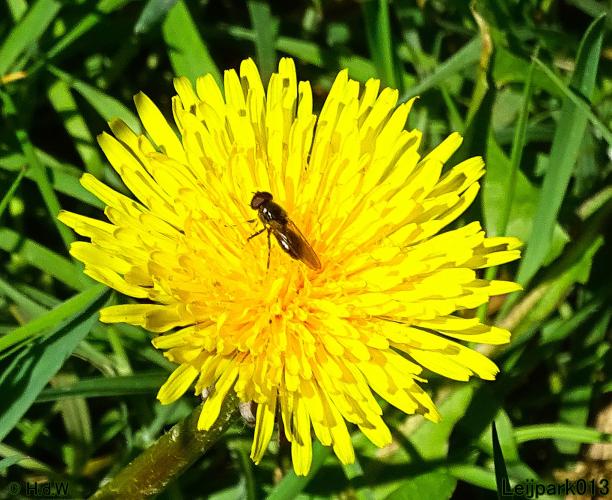 Leijpark013 19 &amp; 20 &amp; 21 &amp; 22 april 2022