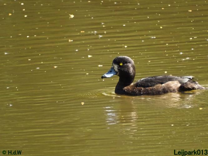 Leijpark013 19 &amp; 20 &amp; 21 &amp; 22 april 2022