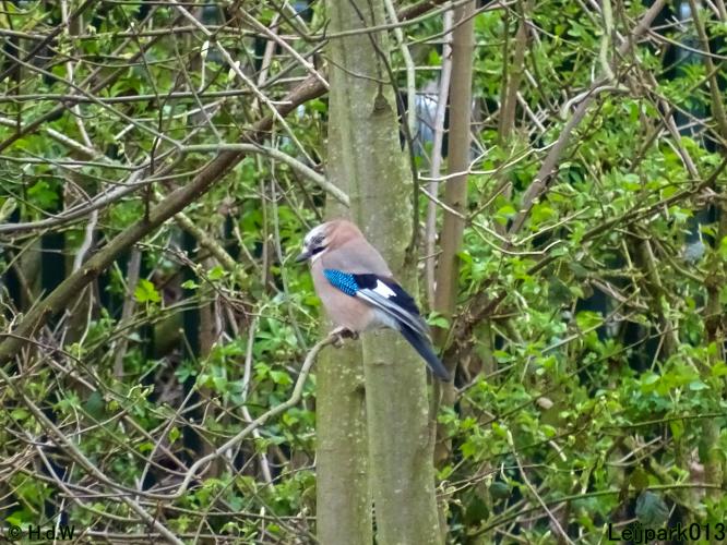 Leijpark013 19 &amp; 20 &amp; 21 &amp; 22 april 2022