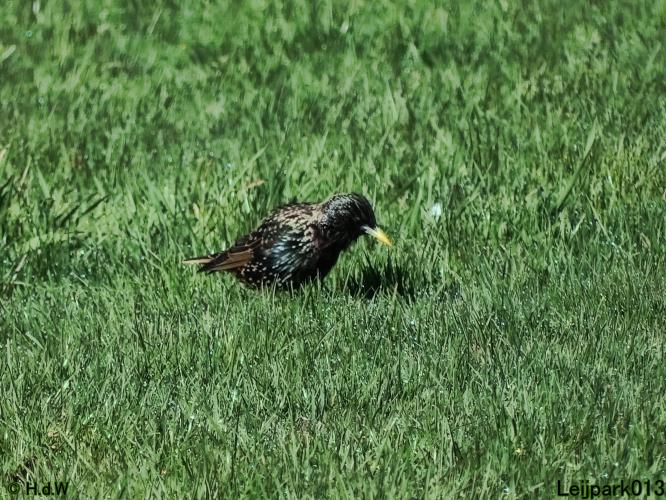 Leijpark013 19 &amp; 20 &amp; 21 &amp; 22 april 2022