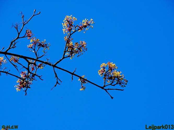 Leijpark013 19 &amp; 20 &amp; 21 &amp; 22 april 2022