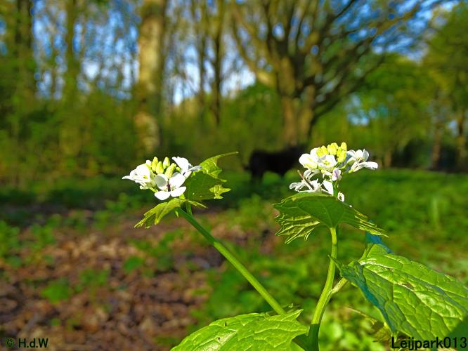 Leijpark013 19 &amp; 20 &amp; 21 &amp; 22 april 2022