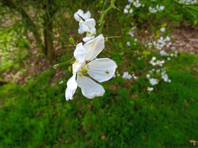 Leijpark013 19 &amp; 20 &amp; 21 &amp; 22 april 2022