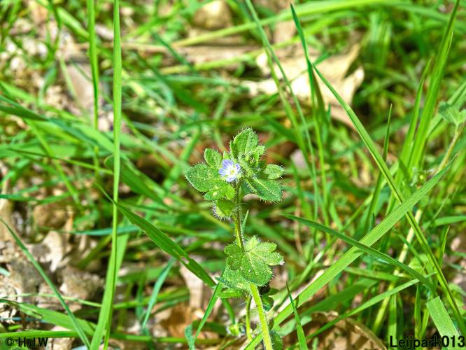 Leijpark013 19 &amp; 20 &amp; 21 &amp; 22 april 2022