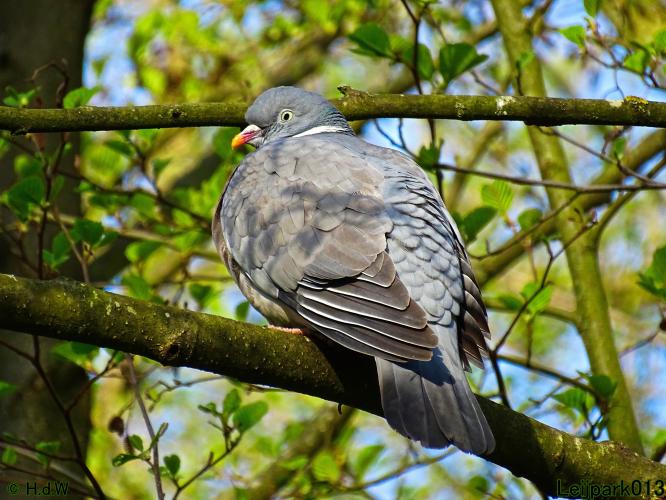 Leijpark013 19 &amp; 20 &amp; 21 &amp; 22 april 2022