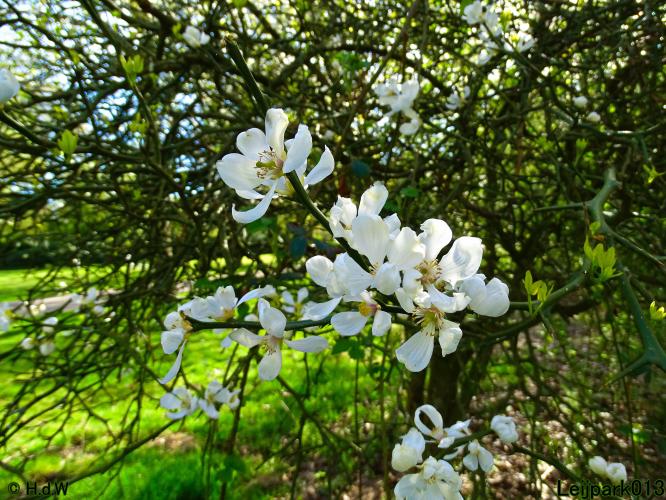 Leijpark013 19 &amp; 20 &amp; 21 &amp; 22 april 2022