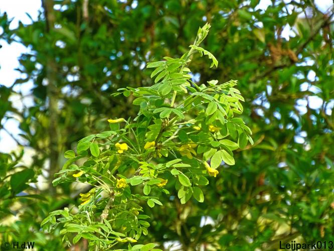 Leijpark013 19 &amp; 20 &amp; 21 &amp; 22 april 2022