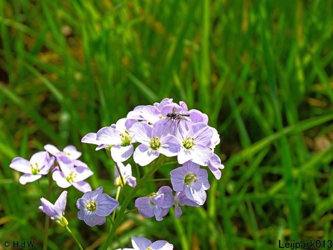 Leijpark013 19 &amp; 20 &amp; 21 &amp; 22 april 2022