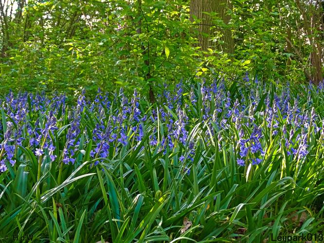 Leijpark013 19 &amp; 20 &amp; 21 &amp; 22 april 2022