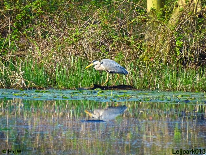 Leijpark013 19 &amp; 20 &amp; 21 &amp; 22 april 2022