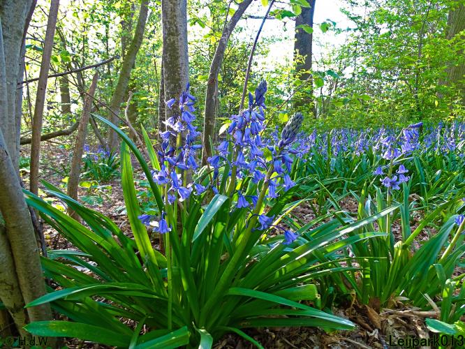 Leijpark013 19 &amp; 20 &amp; 21 &amp; 22 april 2022