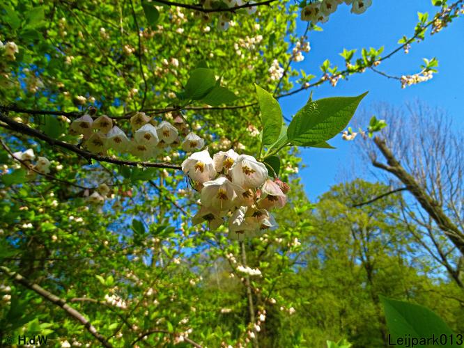 Leijpark013 19 &amp; 20 &amp; 21 &amp; 22 april 2022