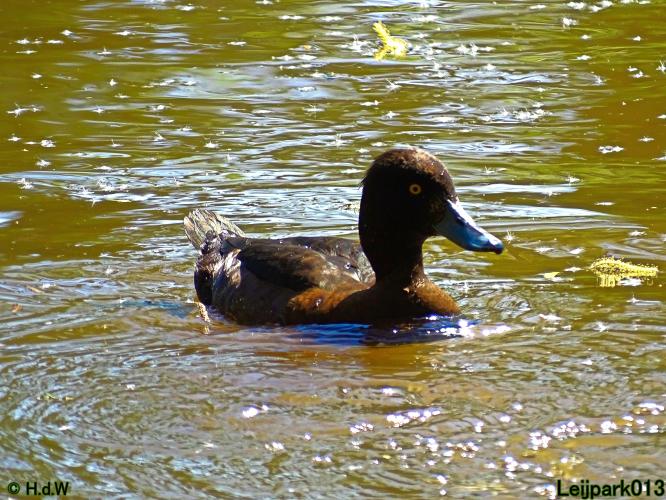 Leijpark013 19 &amp; 20 &amp; 21 &amp; 22 april 2022