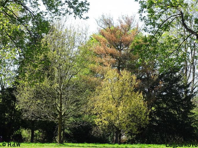 Leijpark013 19 &amp; 20 &amp; 21 &amp; 22 april 2022