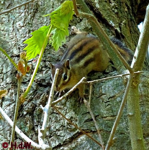 Oude Warande Tilburg 