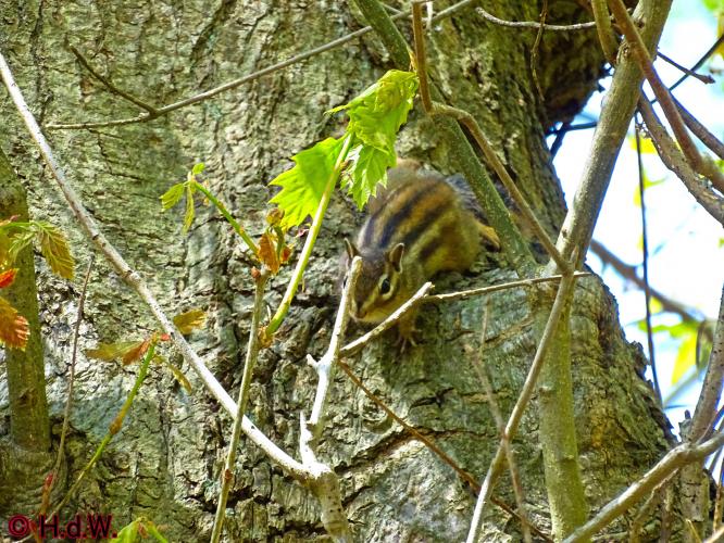 Oude Warande Tilburg 