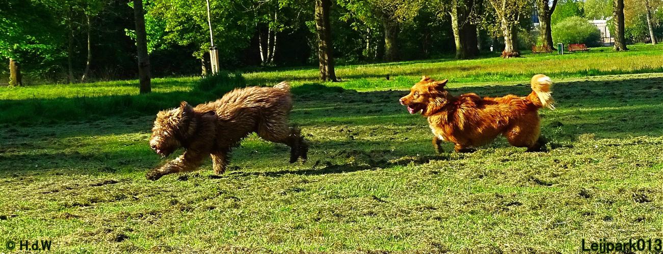 Leijpark 013 Beestenboel 