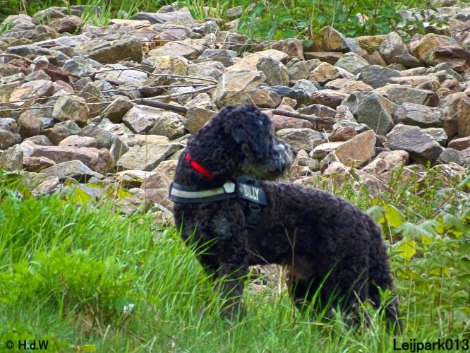 Leijpark 013 Beestenboel 